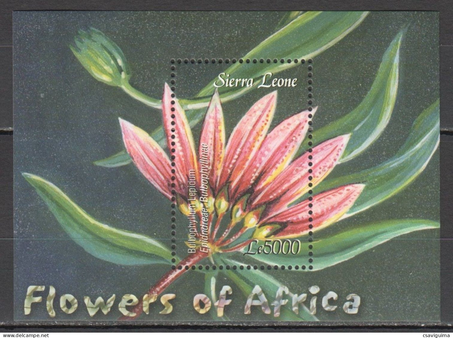 Sierra Leone - 2003 - Flowers Of Africa - Yv Bf 551 - Andere & Zonder Classificatie