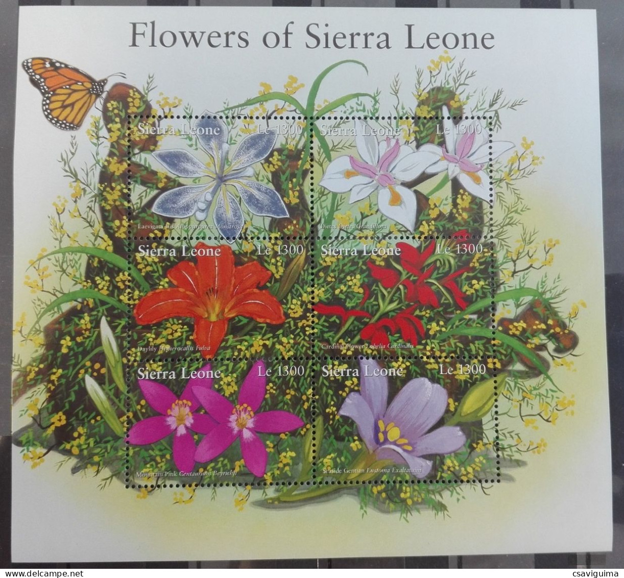 Sierra Leone - 2002 - Flowers Of Sierra Leone - Yv 3524/29 - Other & Unclassified