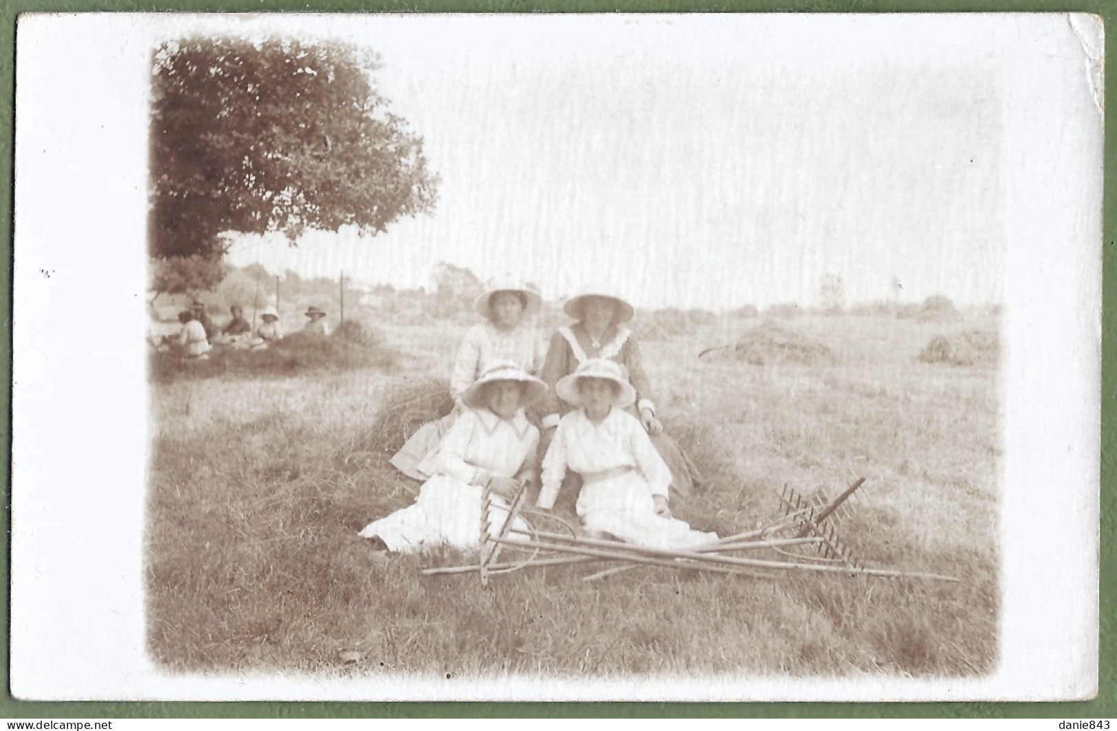 CARTE PHOTO - FENAISON - GROUPE DE FEMMES AU REPOS - MODE PAYSANNE, CHAPEAUX - Landbouw