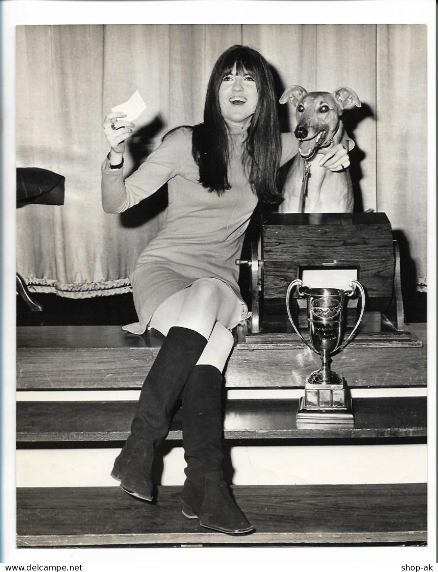 C5989/ Cathy MCGowan With Greyhound Original Pressefoto Foto 25,5 X 20,5 Cm 1967 - Otros & Sin Clasificación