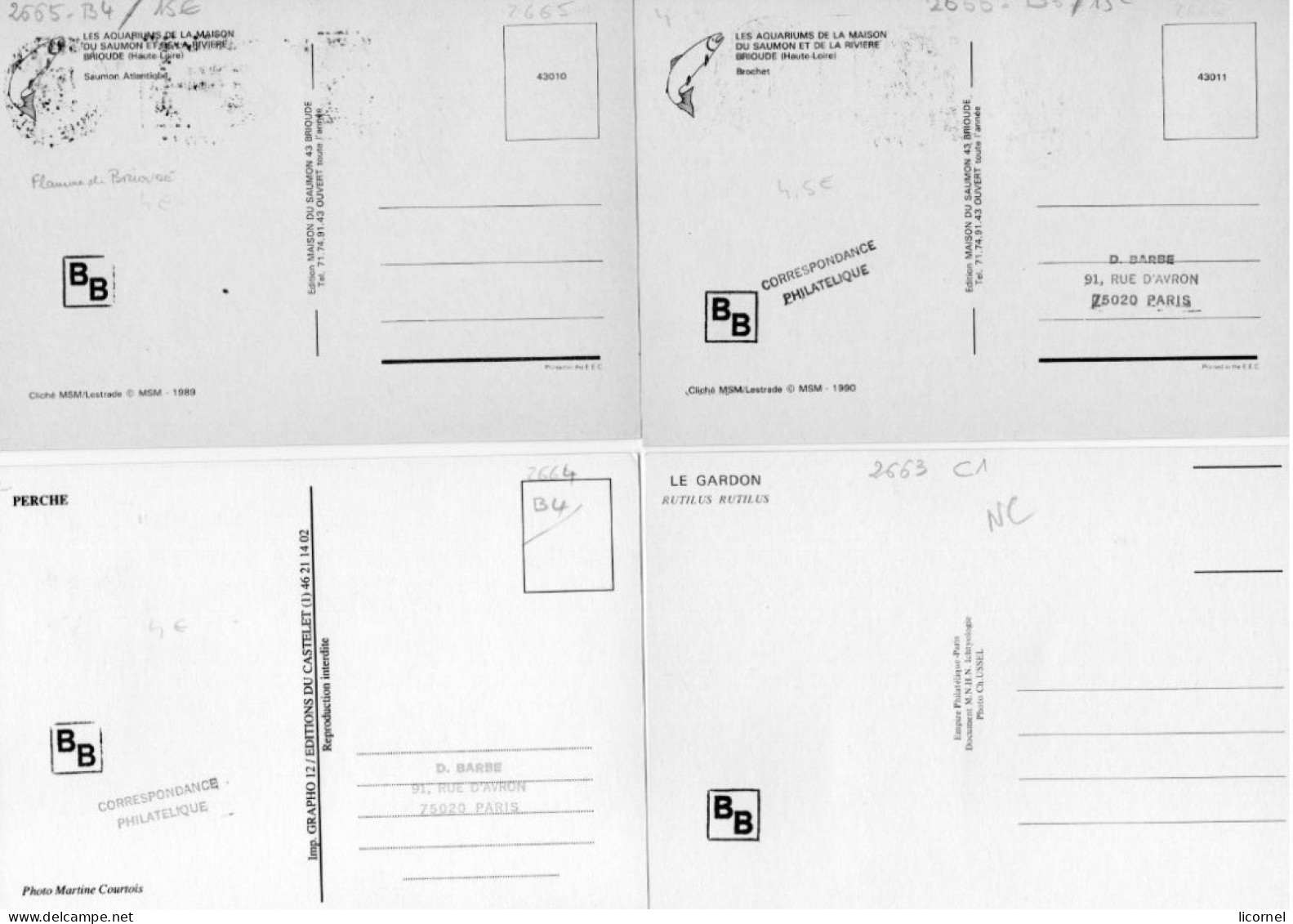 1990 Cartes Maxi (lot De 4 Cartes) - 1990-1999