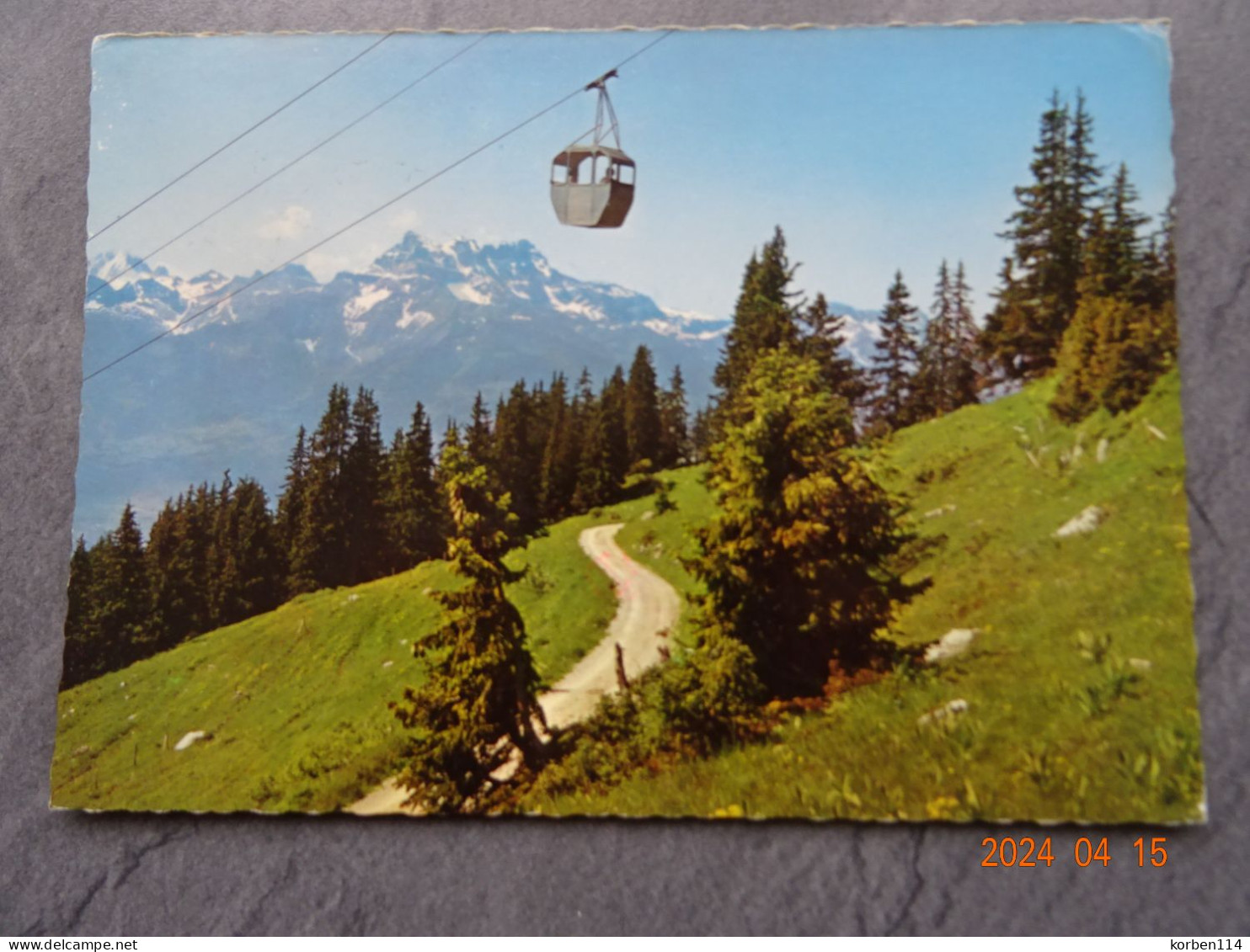 TELECABINE  LEYSIN  BERNEUSE - Leysin