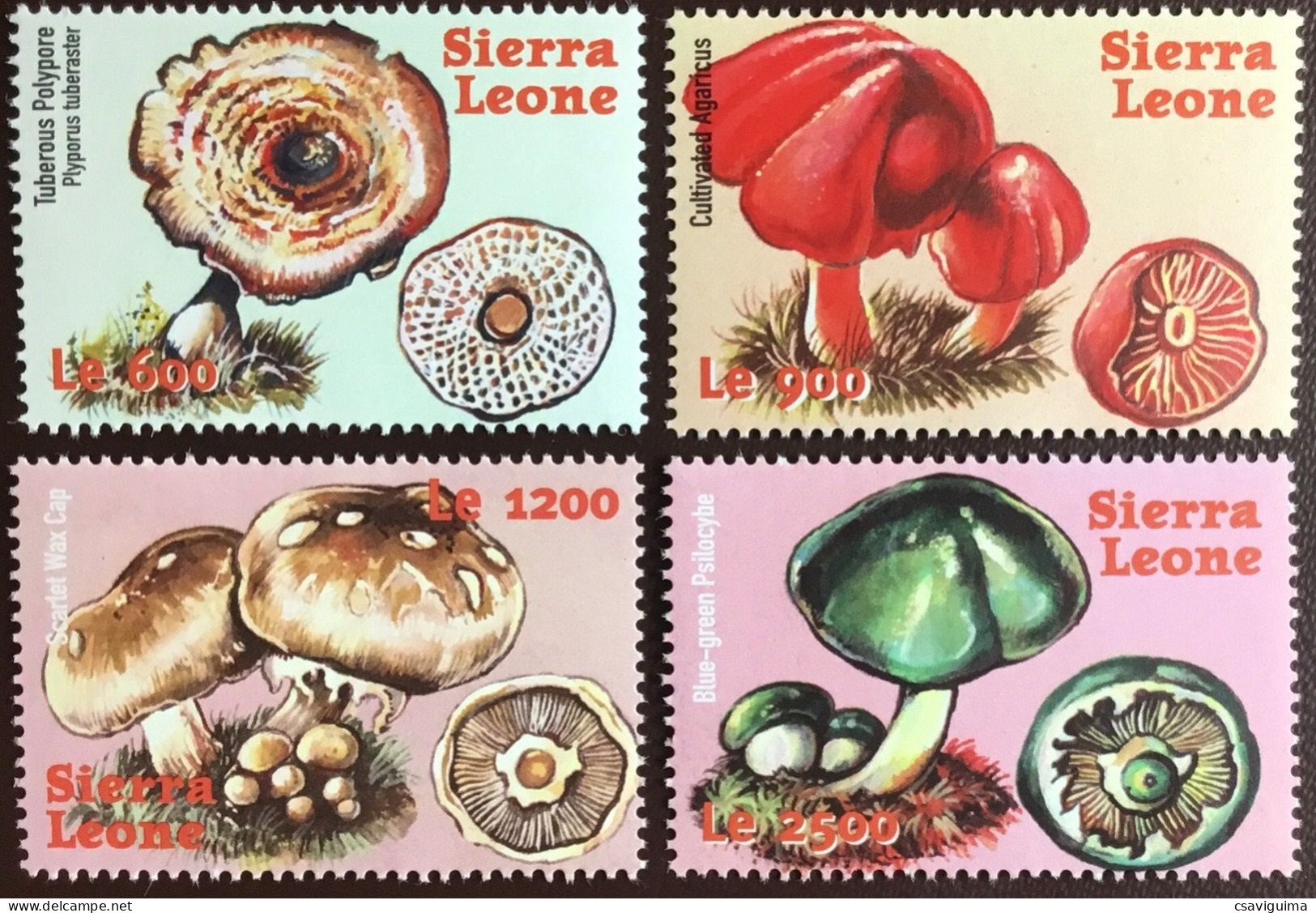 Sierra Leone - 2000 - Mushrooms - Yv 3176G/J - Mushrooms