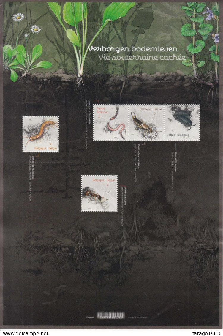 2023 Belgium Soil Insects Beetles,ants,worms LARGE M/sheet Of 5 MNH @ BELOW FV * Wrinkle To Top Edge Stamps OK* - Unused Stamps