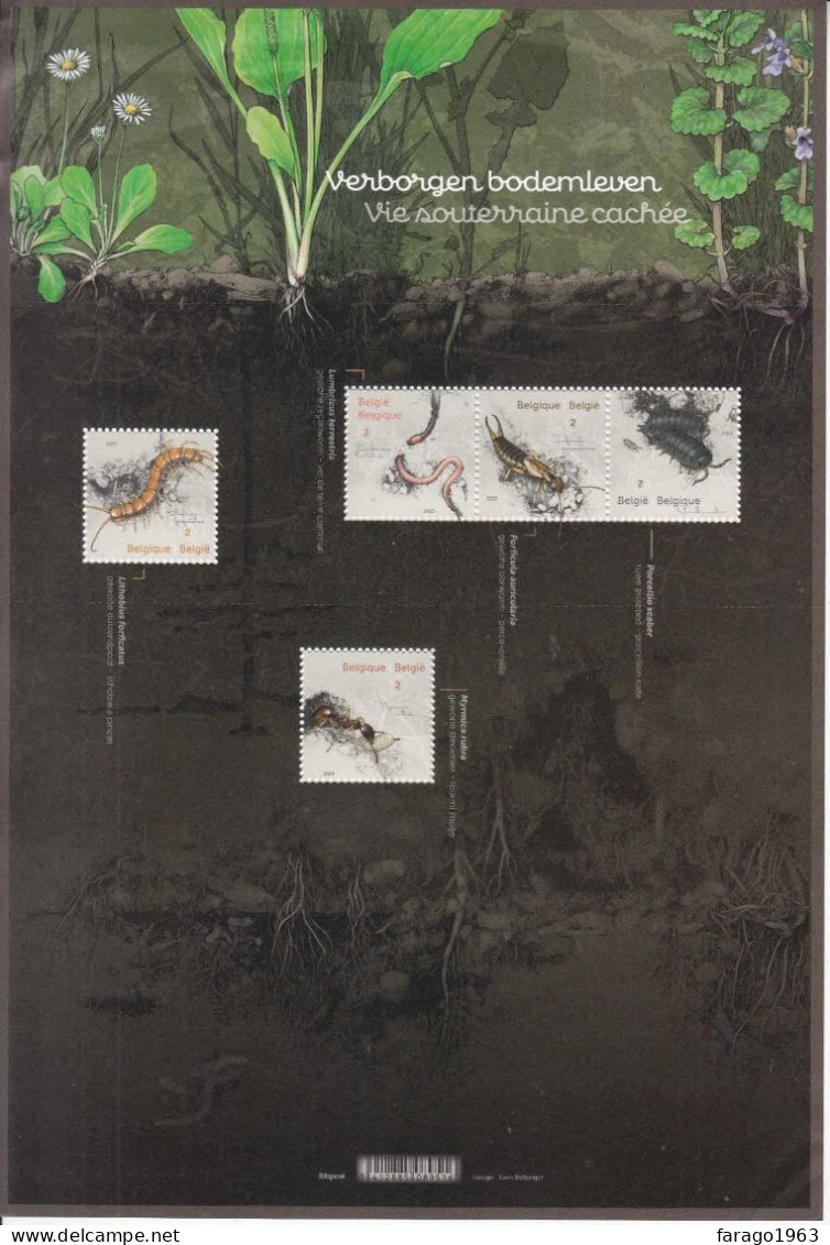 2023 Belgium Soil Insects Beetles,ants,worms LARGE M/sheet Of 5 MNH @ BELOW FV * Wrinkle To Top Left Corner Stamps OK* - Ongebruikt