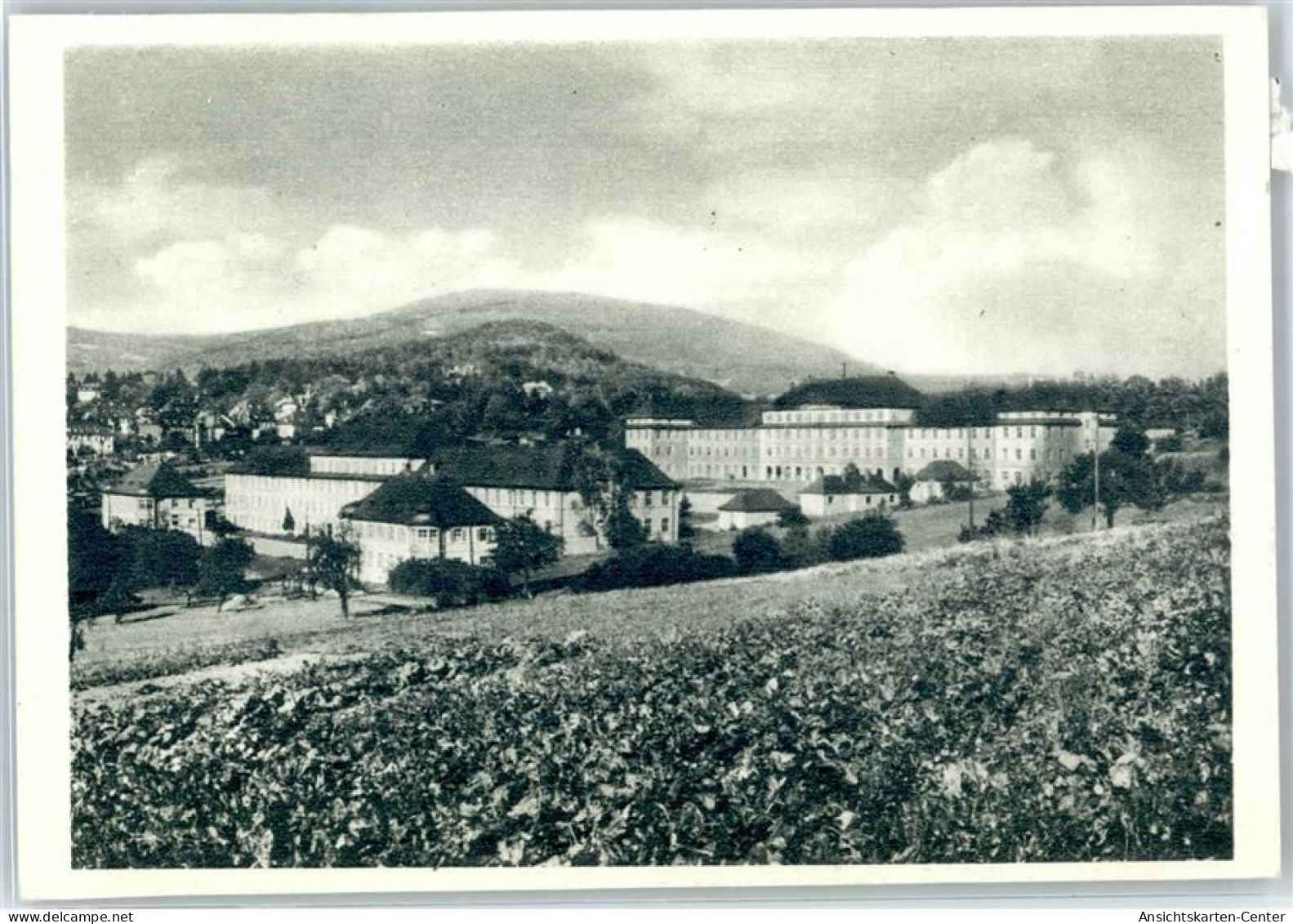 51479503 - Koenigstein Im Taunus - Königstein