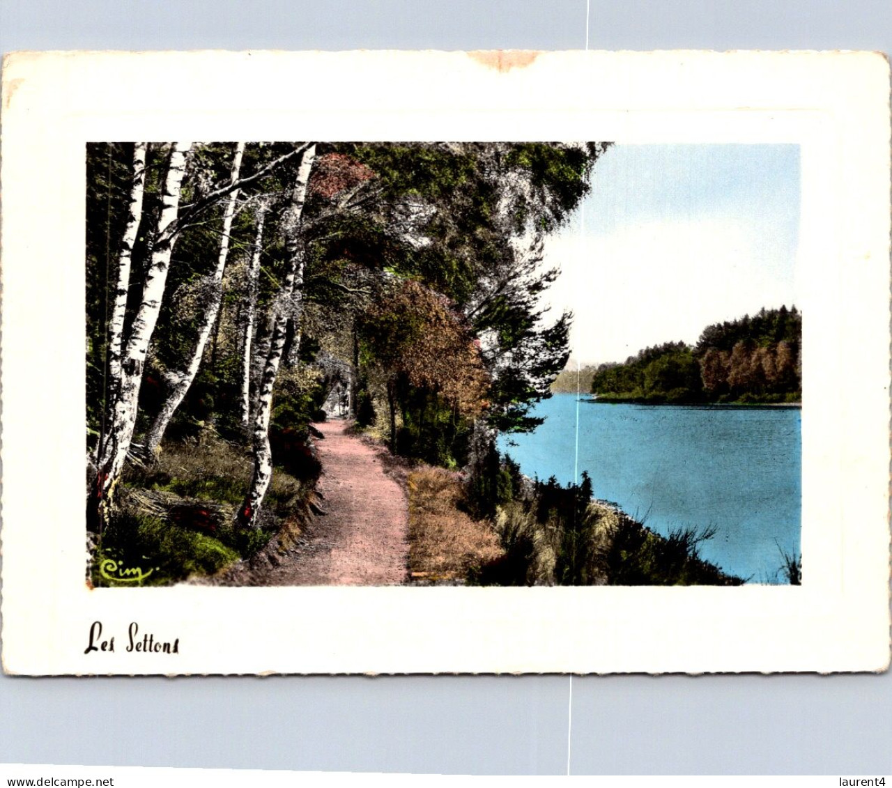 17-4-2024 (2 Z 18) France (colorised) Forêt Des Settons - Árboles