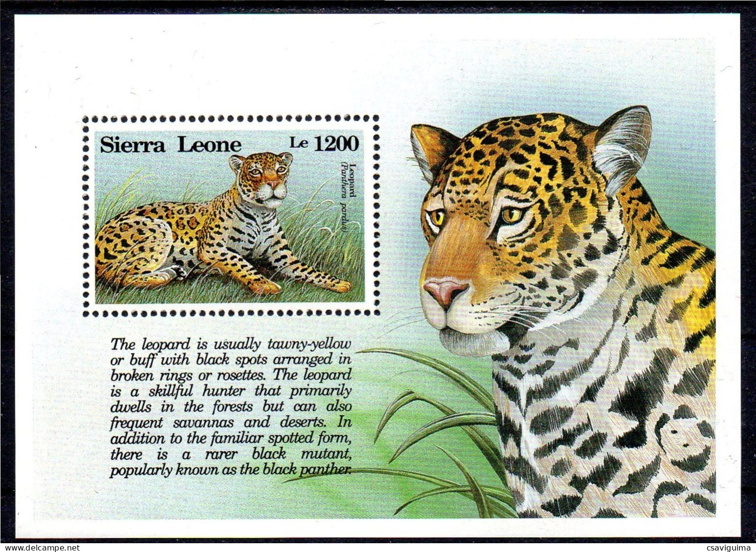 Sierra Leone - 1993 - Leopard: Panthera Perdus - Yv Bf 219 - Big Cats (cats Of Prey)