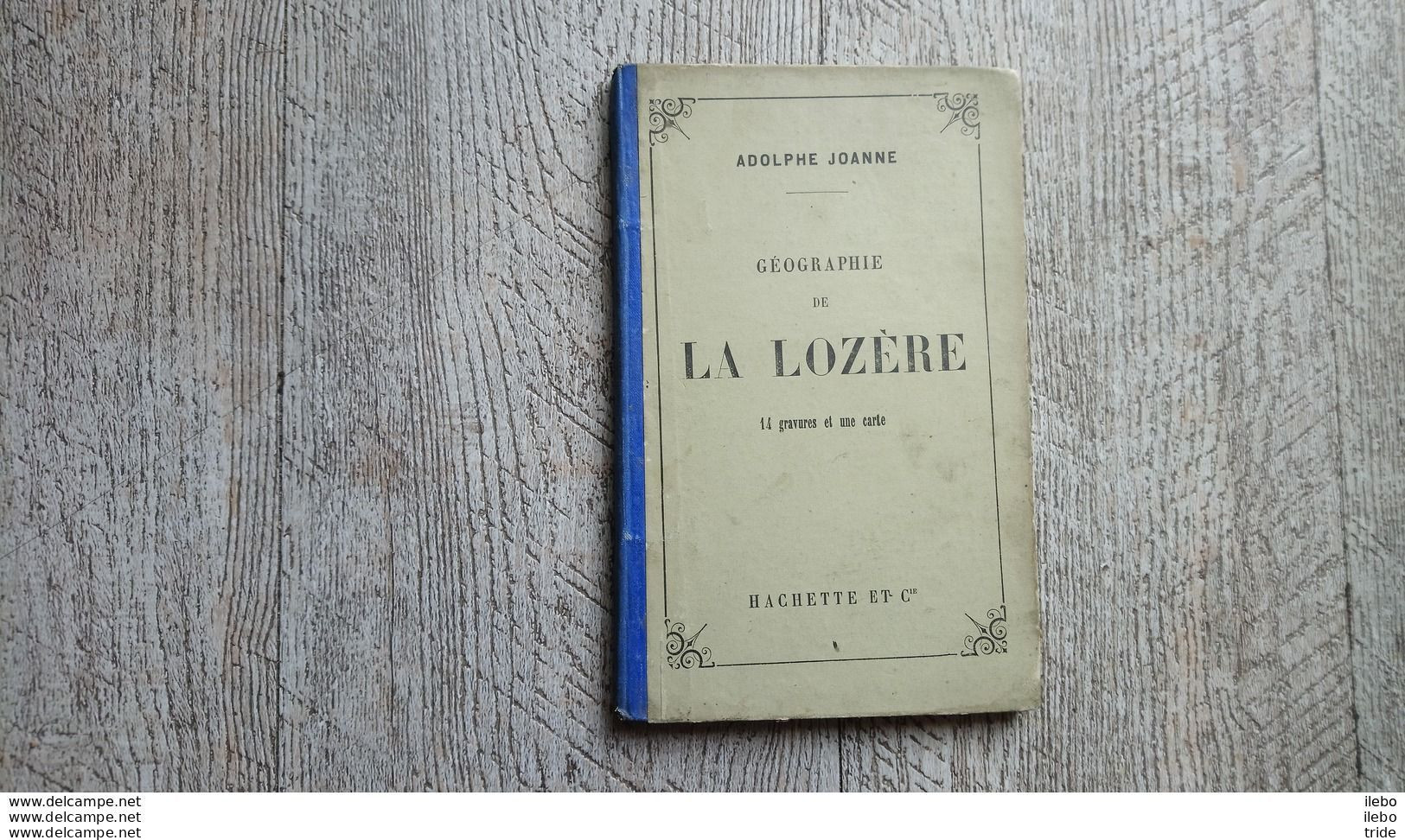 Guide Joanne Géographie De La Lozère 1881 Carte Gravures EO - Aardrijkskunde