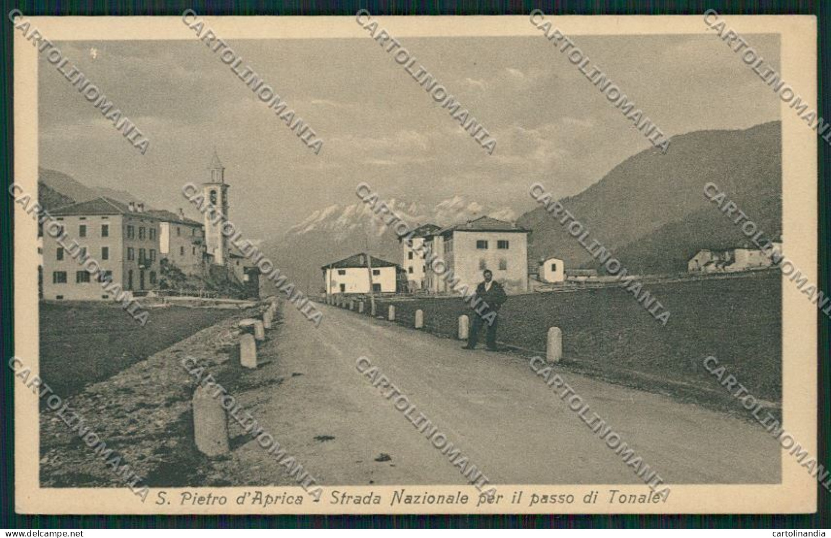 Sondrio Aprica Cartolina QQ7436 - Sondrio