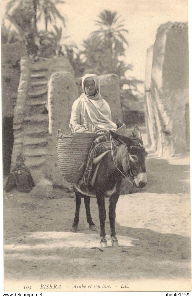 AFRIQUE DU NORD ALGERIE BISKRA : ARABE ET SON ÂNE - Biskra