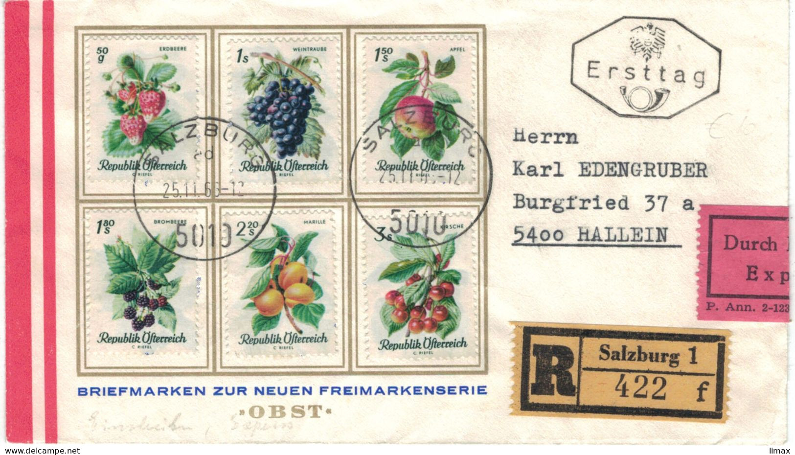 Reko Express Salzburg 1966 > Hallein - Obst Erdbeere Traube Apfel Brombeere Marille Kirsche - Lettres & Documents