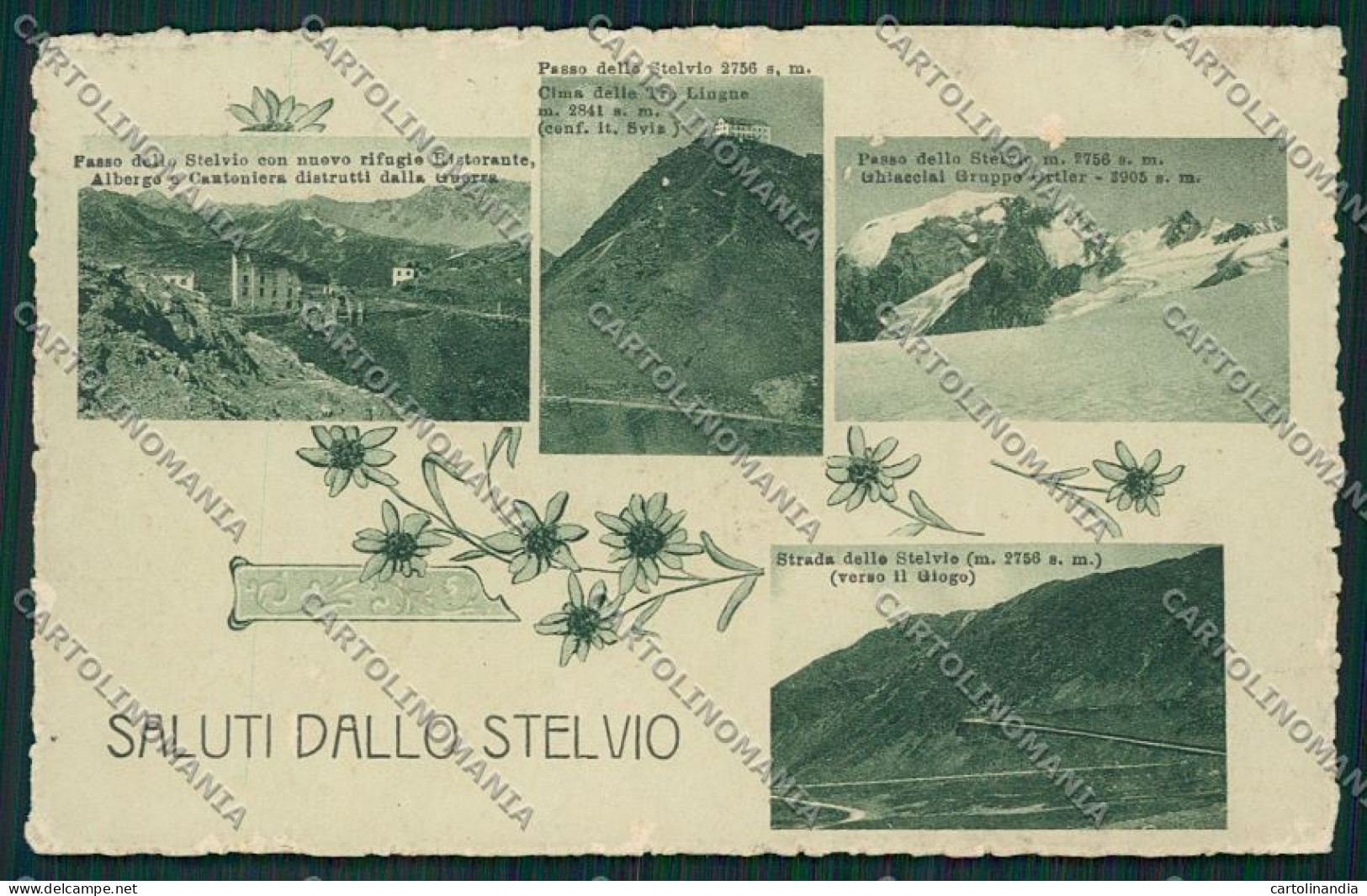 Sondrio Passo Stelvio Saluti Da ABRASA Cartolina QQ7549 - Sondrio