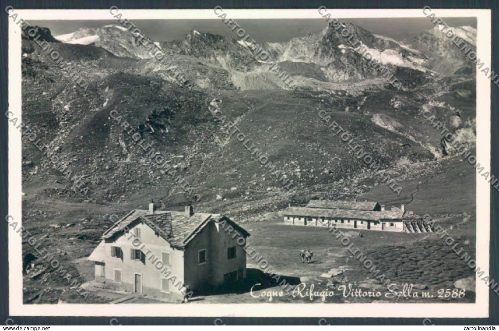 Aosta Cogne Rifugio Vittorio Sella Foto Cartolina ZQ4564 - Aosta