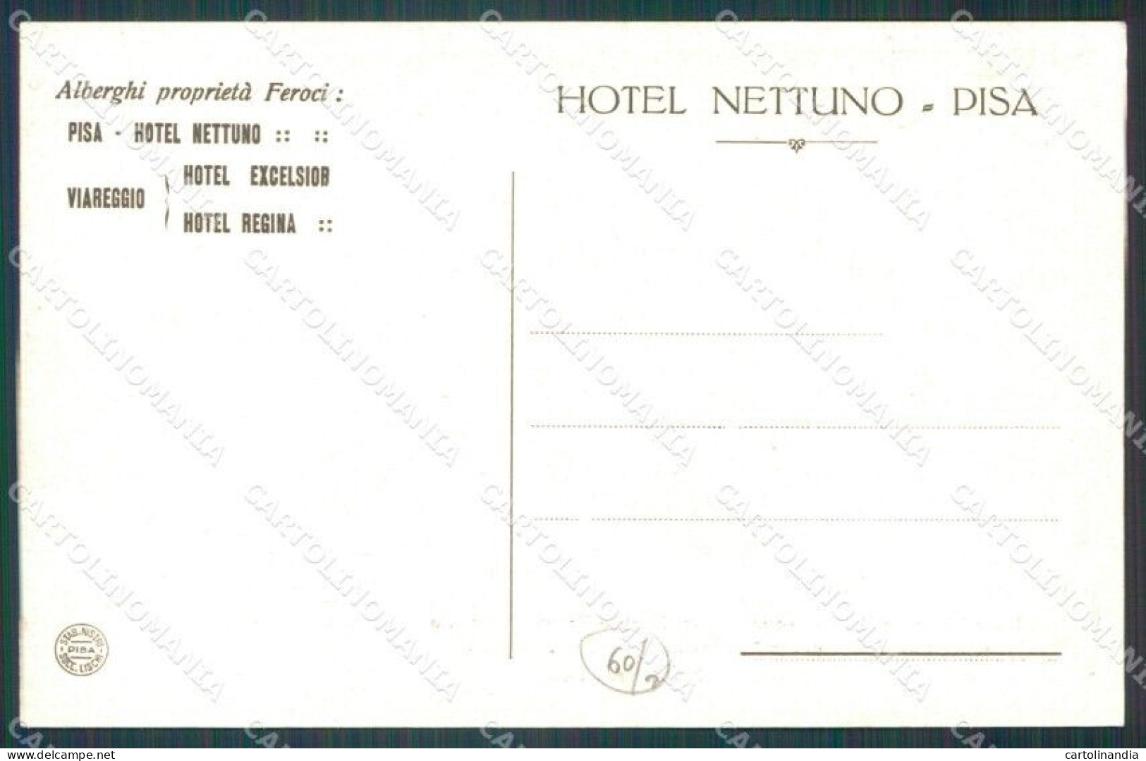 Pisa Città Hotel Nettuno Britain Royalty King George Queen Mary Cartolina WX1239 - Pisa