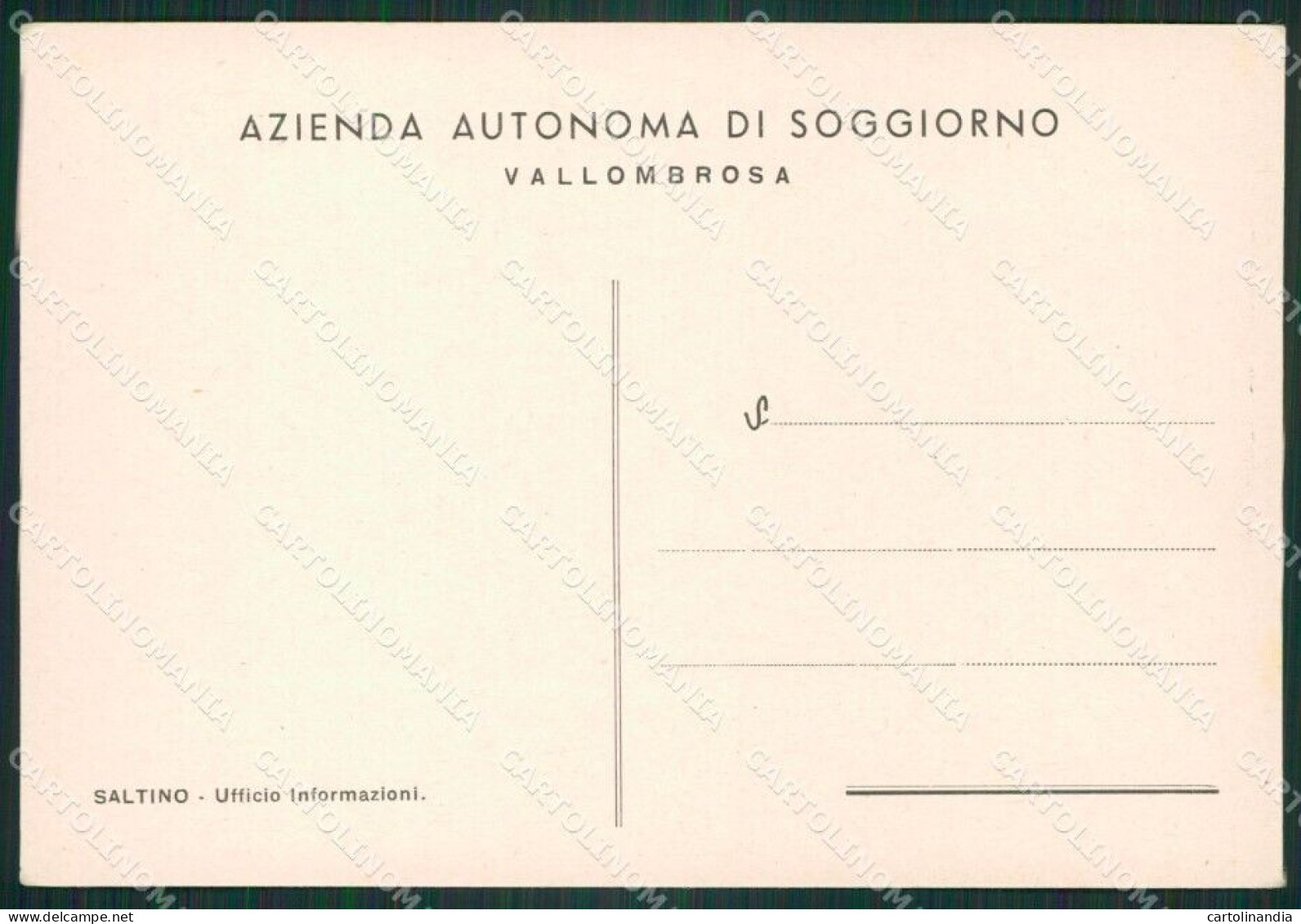 Firenze Vallombrosa Saltino FG Cartolina ZK3890 - Firenze