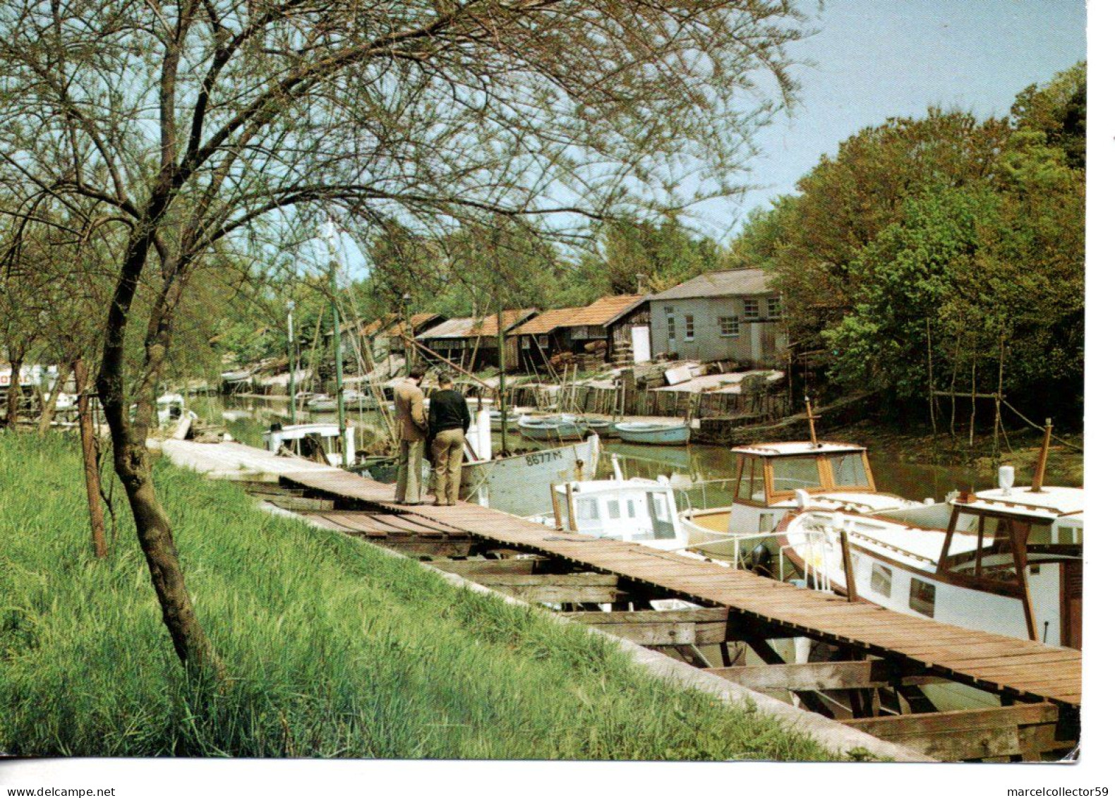 CPM - La Tremblade - Le Port De Plaisance Be - La Tremblade