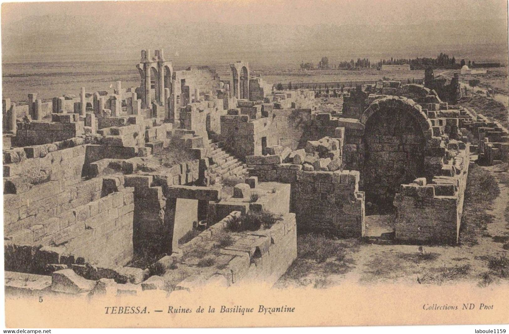 AFRIQUE DU NORD ALGERIE TEBESSA : RUINES DE LA BASILIQUE BYZANTINE - Tebessa