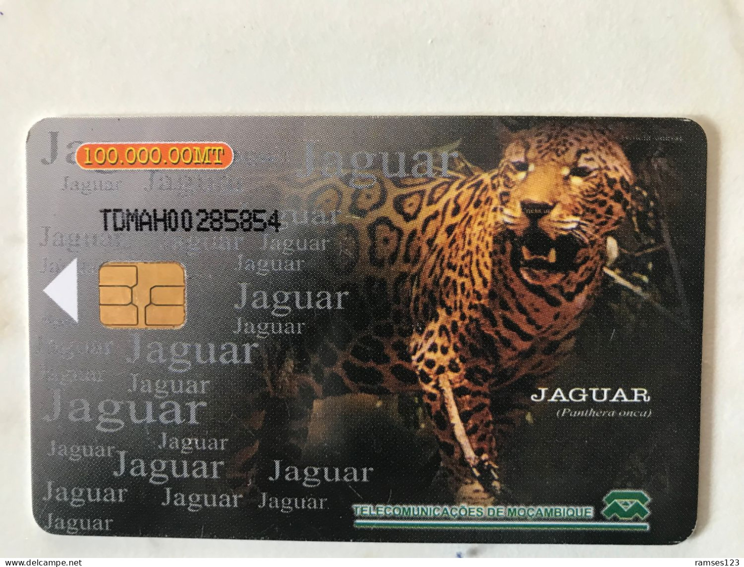 MOZAMBIQUE   JAGUAR - Moçambique