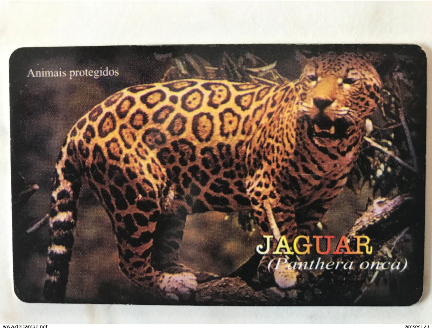 MOZAMBIQUE   JAGUAR - Mozambico