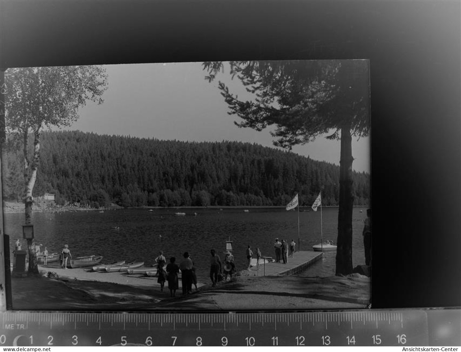 30086904 - Feldberg , Schwarzwald - Feldberg