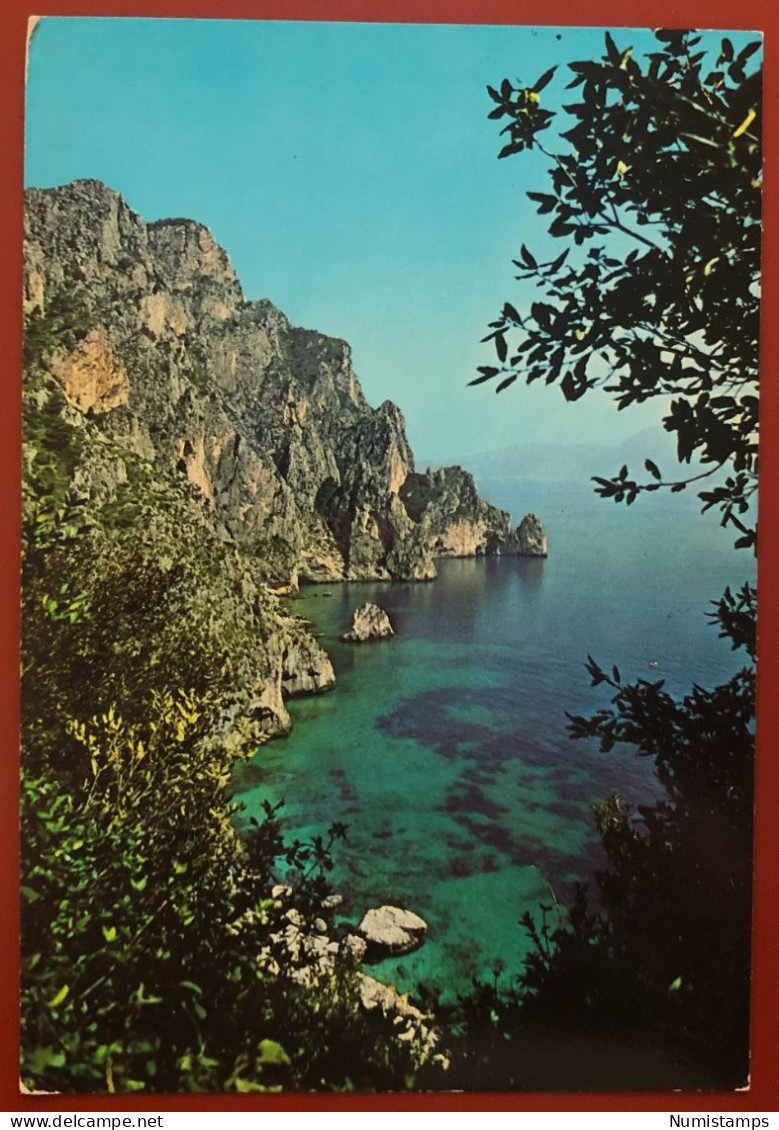 CAPRI - Belvedere Di Matromània - 1982 (c654) - Napoli