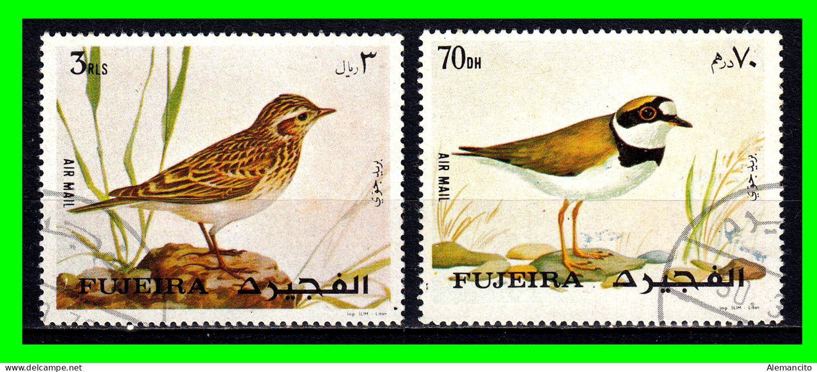 FUJEIRA  ( EMIRATOS AREABES ) ASIA TEMATICA PAJAROS - Fudschaira