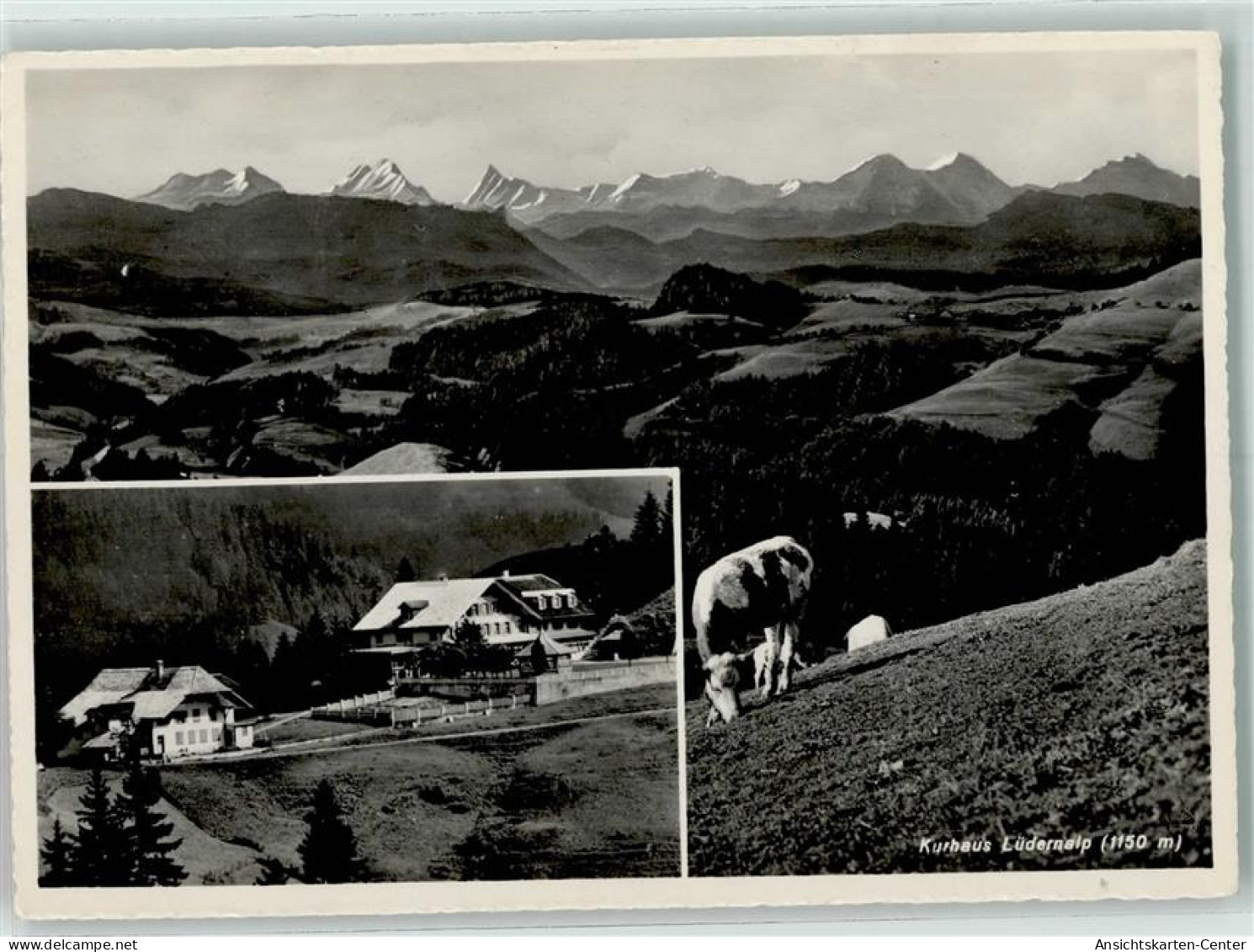 10218104 - Oberei Wasen Im Emmental - Vaches