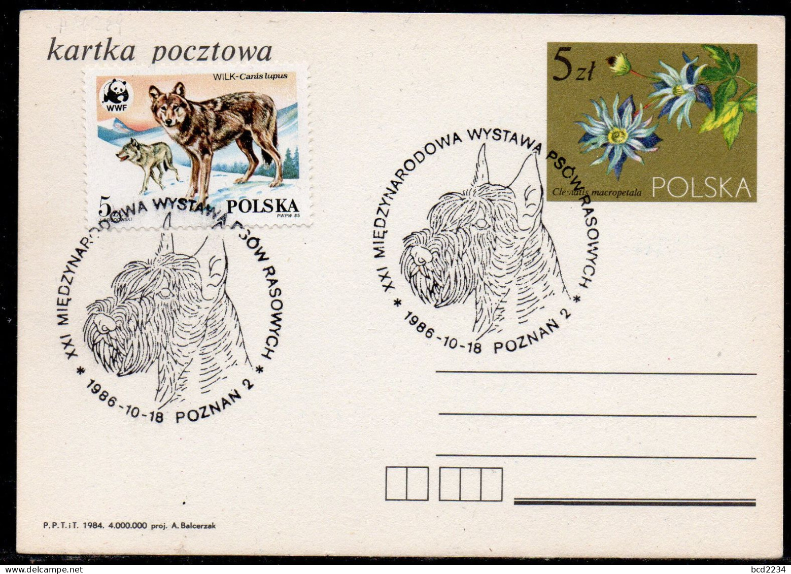 POLAND 1986 XXI INTERNATIONAL PEDIGREE DOG SHOW POZNAN SPECIAL CANCEL ON PC DOGS POLISH SCOTTISH TERRIER - Honden