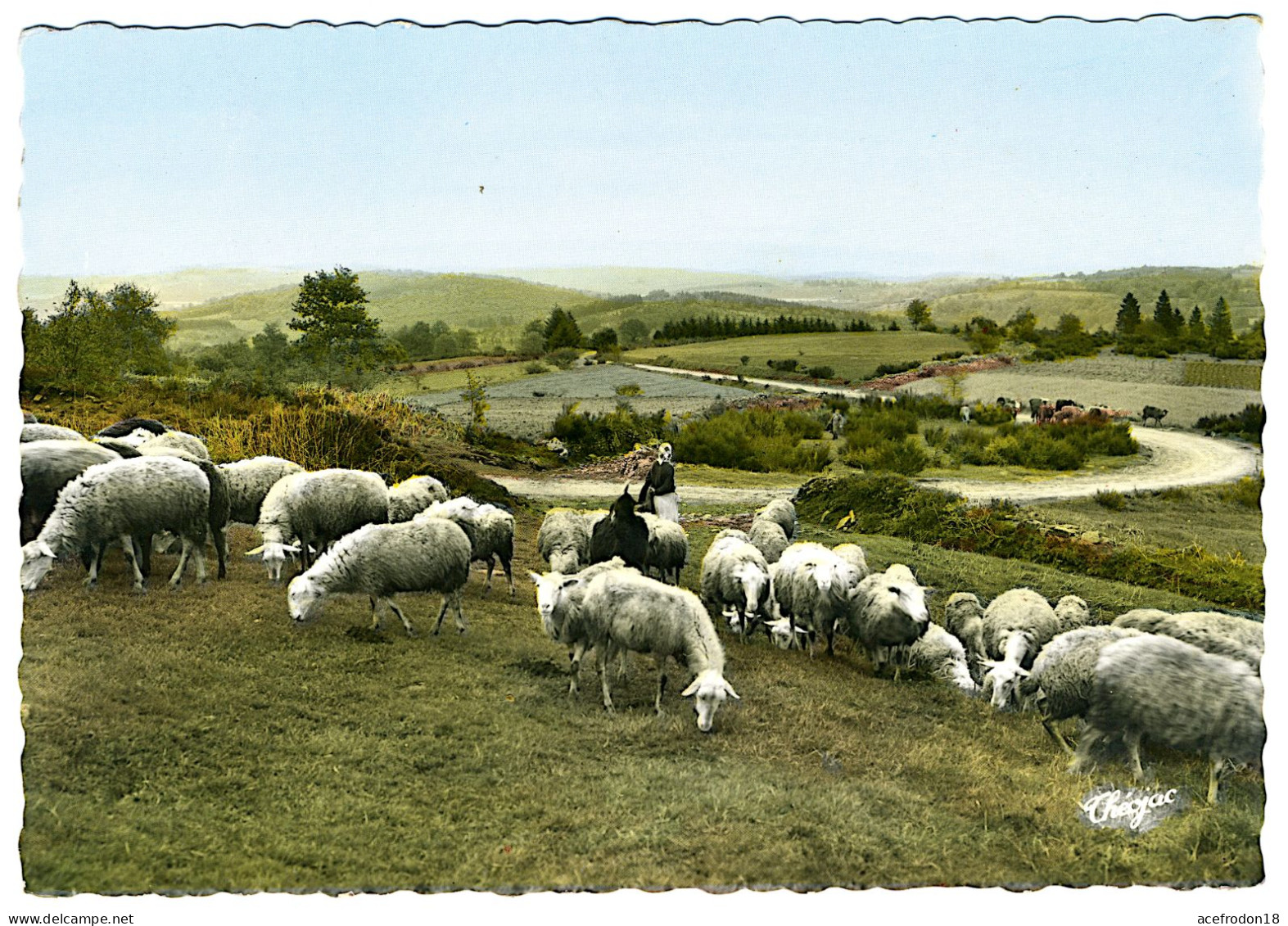 Royère - Vue Du Signal - Royere