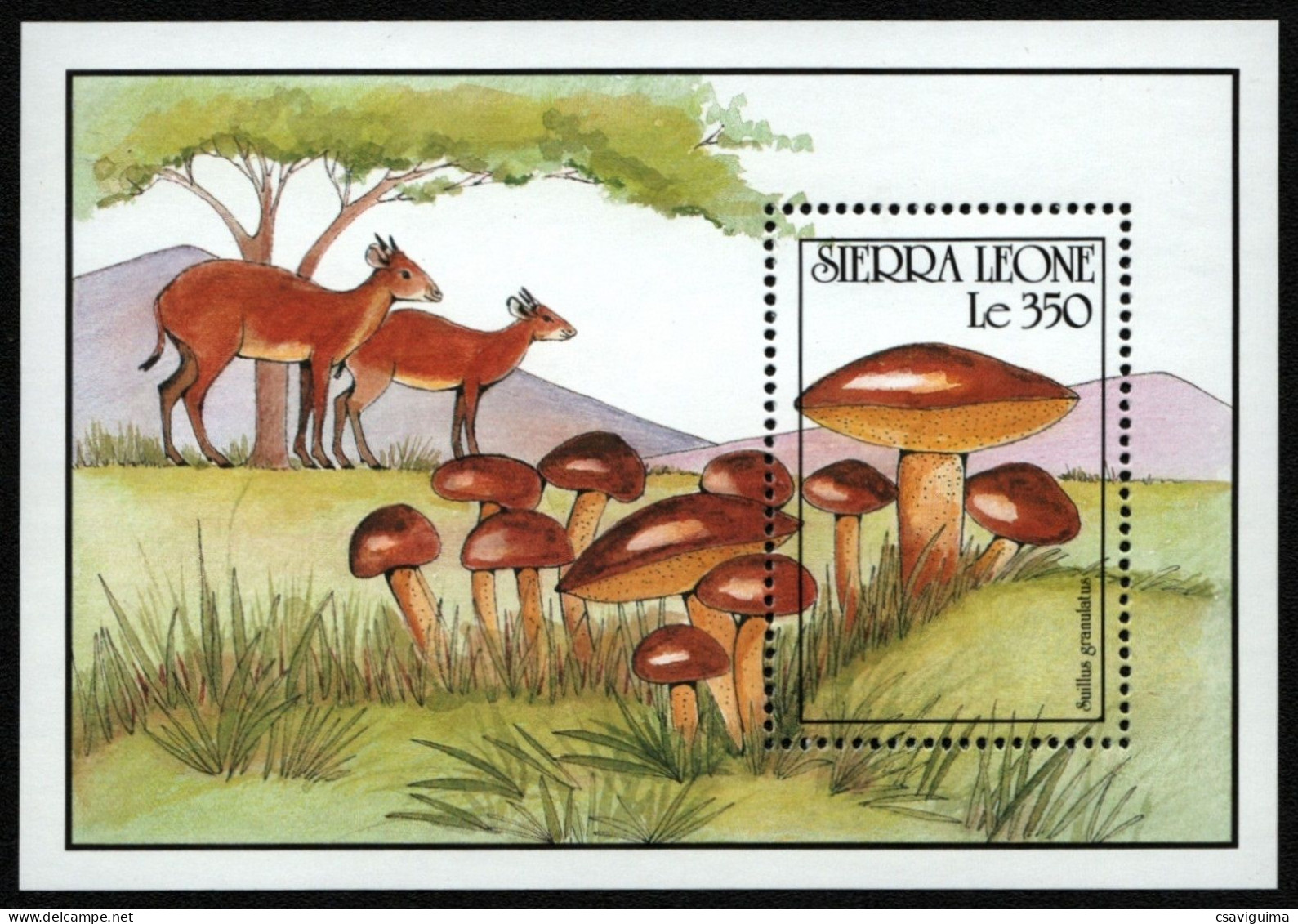 Sierra Leone - 1990 - Mushrooms - Yv Bf 194 - Funghi