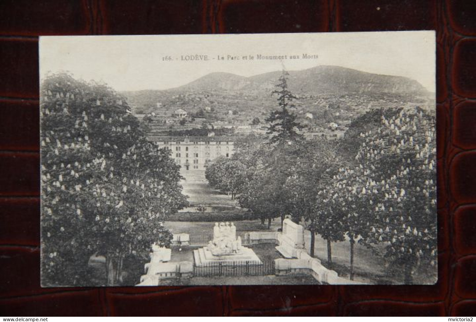 34 - LODEVE : Le Parc Et Le Monument Aux Morts - Lodeve