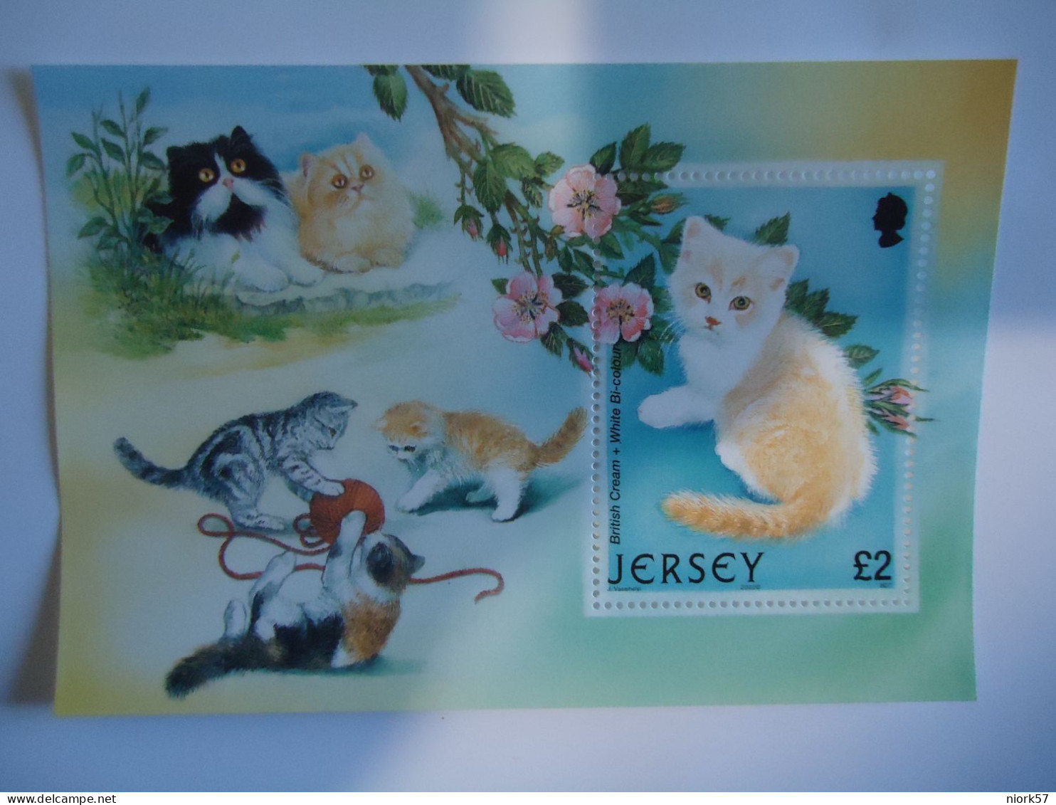 JERSEY MNH  SHEET  2002  CAT  CATS   POUND 2 - Gatti