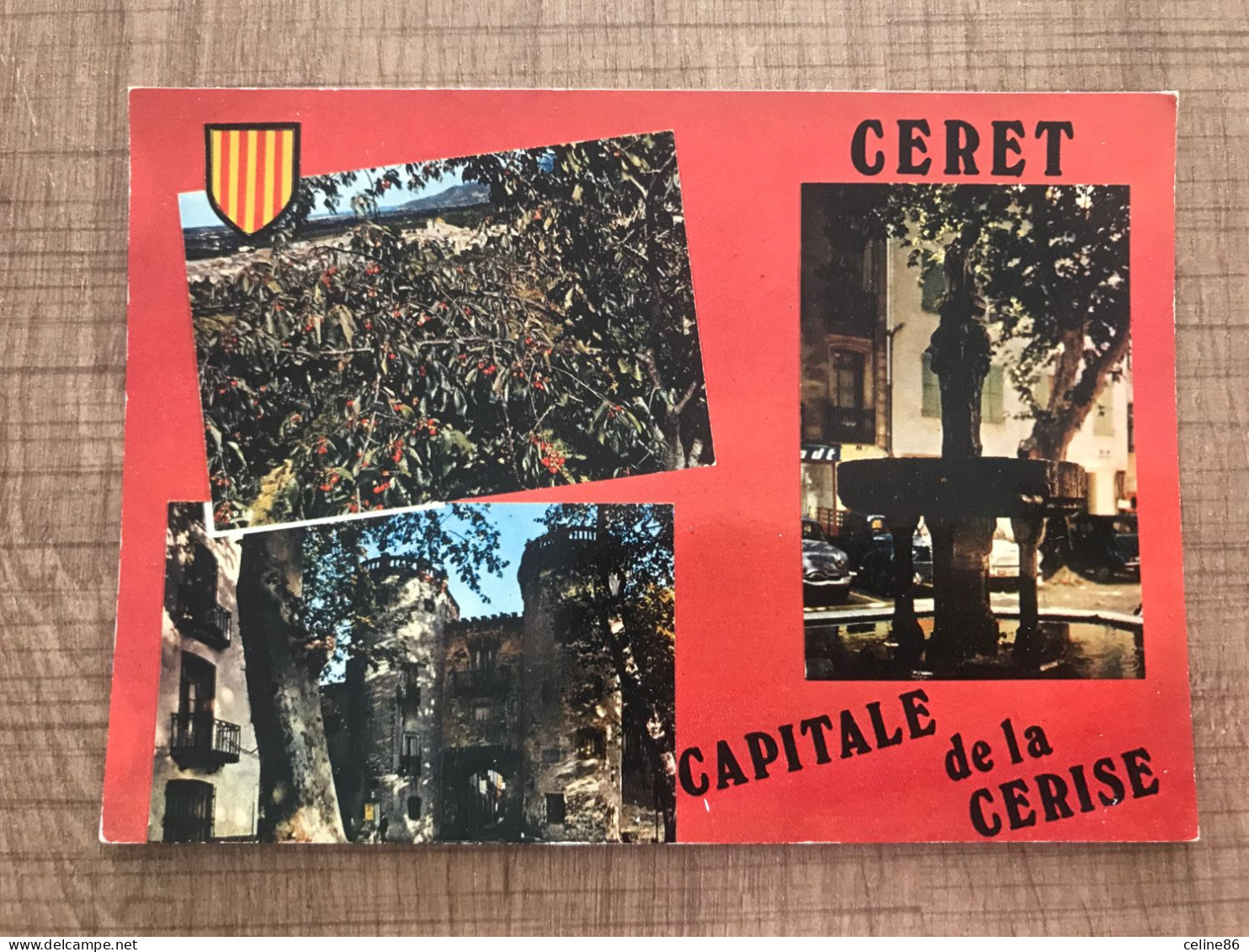 CERET Vue Générale Porte De France La Fontaine Des Neuf Jets - Ceret