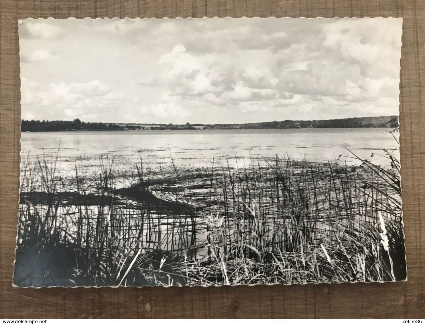 Les Environs De DIEUZEN à  3 Kms, L'Etang De Lindre Basse - Dieuze