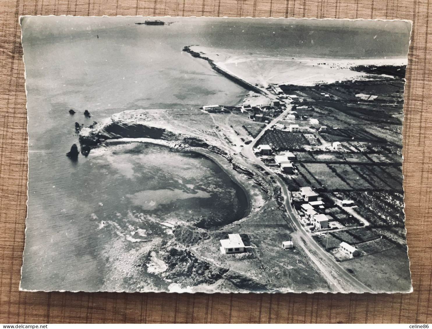  LE CAP D'AGDE Vue Générale Aerienne Au Fond Le Fort Brescou  - Agde