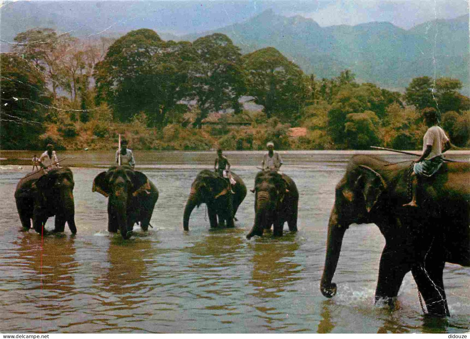 Animaux - Eléphants - Sri Lanka - Kandy - Katugastota - CPM - Voir Scans Recto-Verso - Elephants