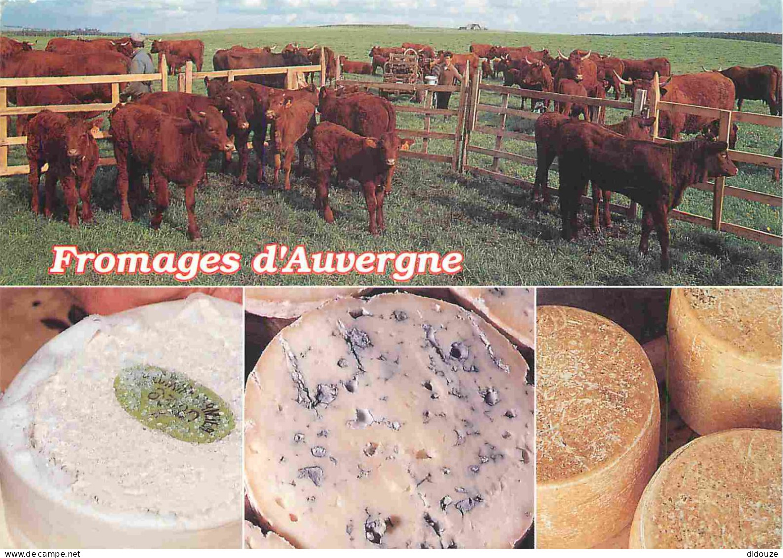 Recettes De Cuisine - Fromages D'Auvergne - Multivues - Gastronomie - CPM - Voir Scans Recto-Verso - Küchenrezepte