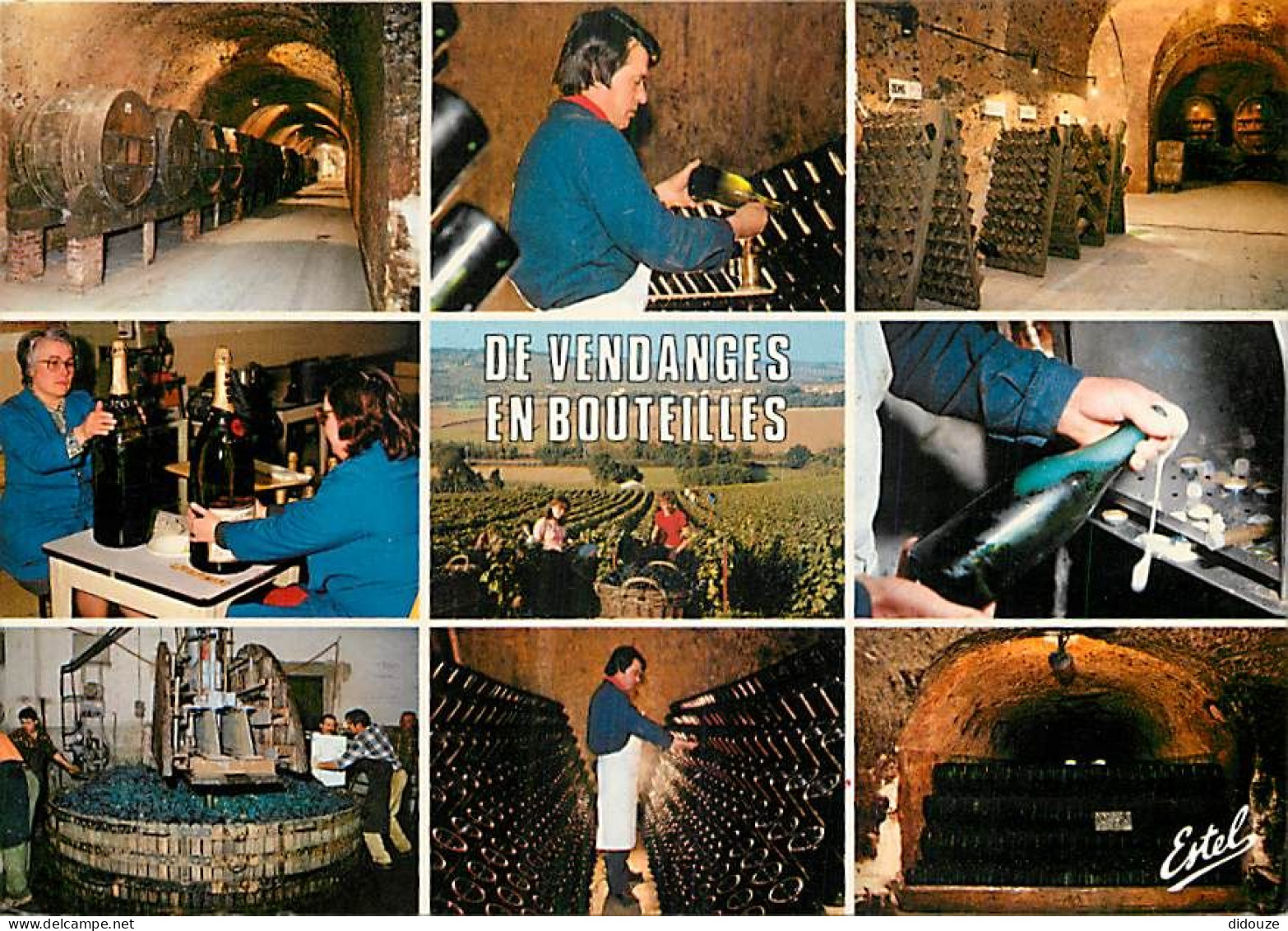 Vignes - Moet Et Chandon De Vendanges En Bouteilles - Multivues - CPM - Voir Scans Recto-Verso - Wijnbouw