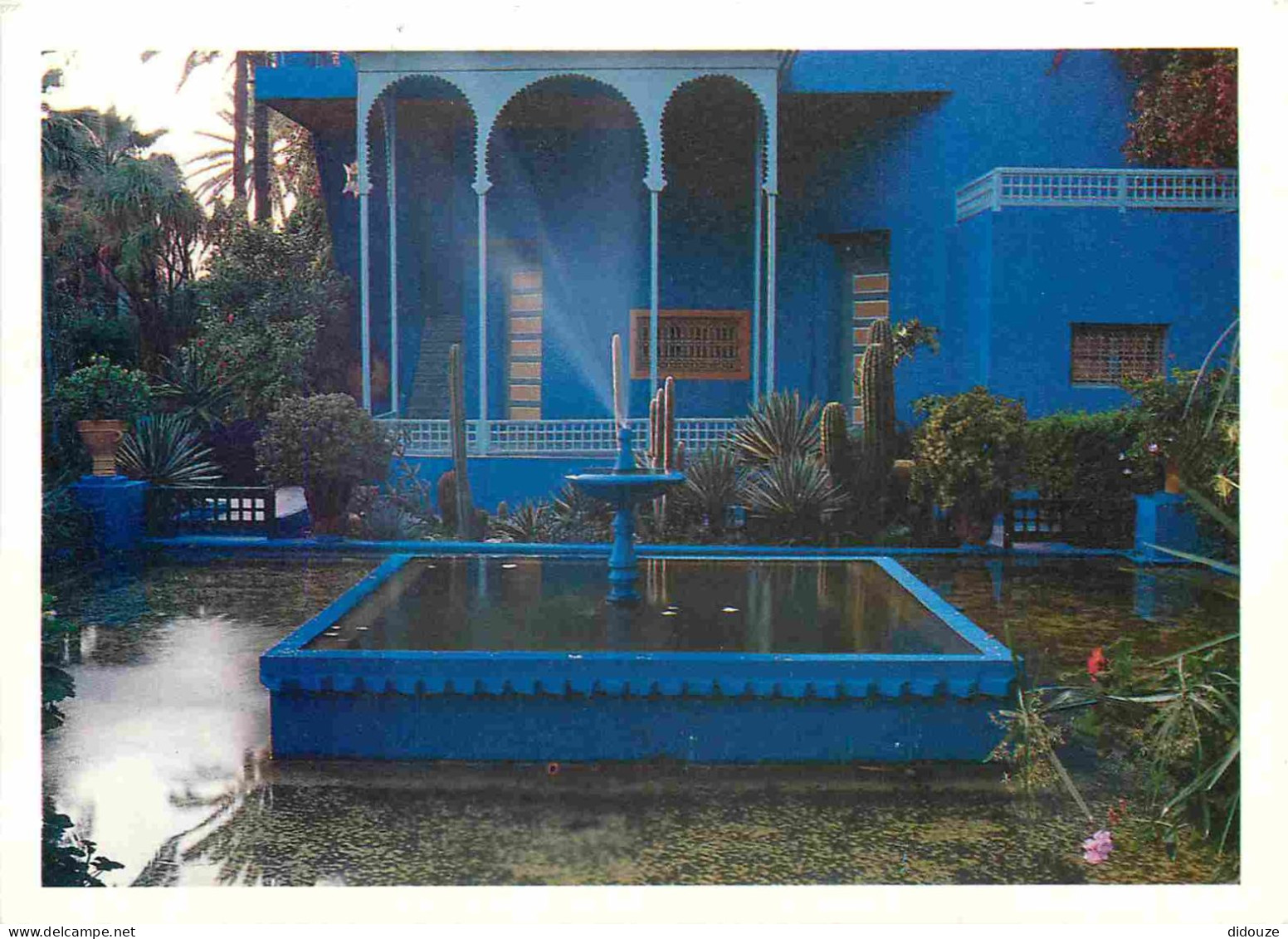 Maroc - Marrakech - Les Jardins Exotiques Majorelle - CPM - Carte Neuve - Voir Scans Recto-Verso - Marrakech