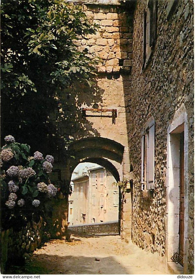 07 - Joyeuse - Vieille Porte Des Remparts Rue De Jales - Vieilles Pierres - Fleurs - CPM - Voir Scans Recto-Verso - Joyeuse