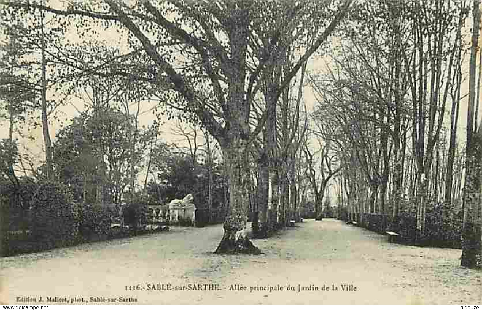 72 - Sablé Sur Sarthe - Allée Principale Du Jardin De La Ville - CPA - Voir Scans Recto-Verso - Sable Sur Sarthe