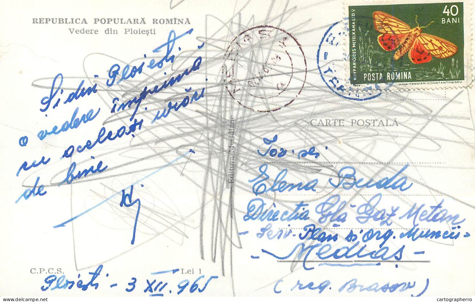 Postcard Romania Ploiesti - Romania