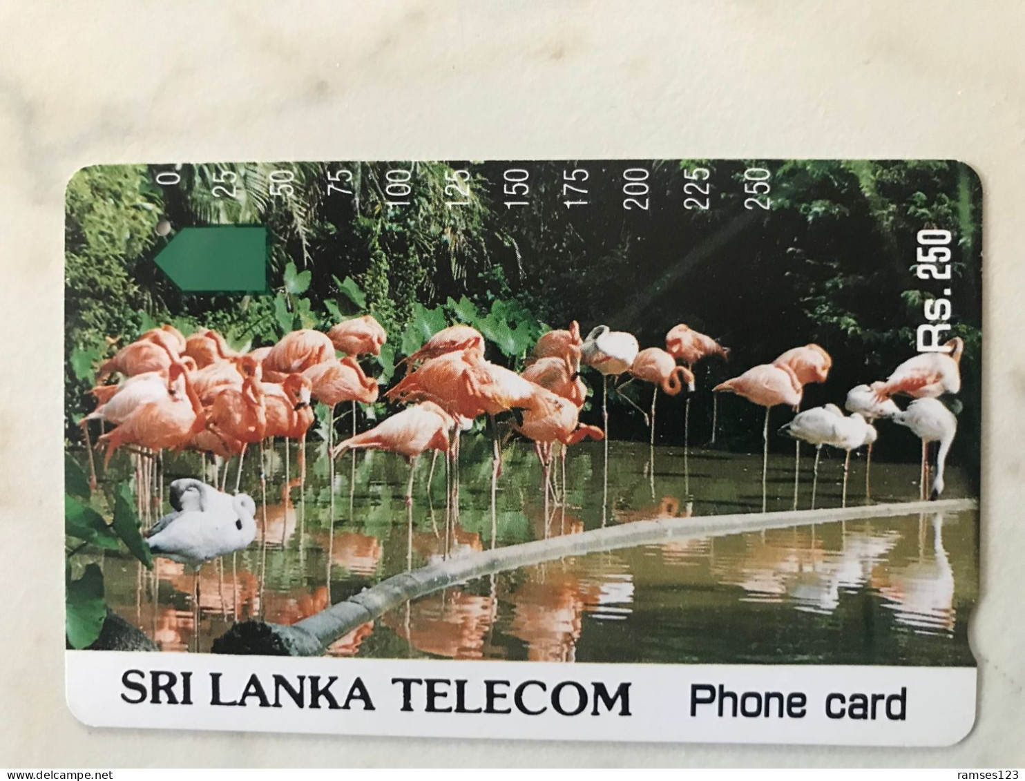 SRI LANKA    BIG VALUE   FLAMINGOS - Sri Lanka (Ceilán)