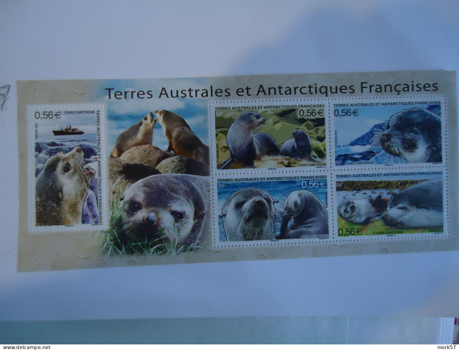 TAAF   MNH   STAMPS ANIMALS   SEAL  2010 - Other & Unclassified