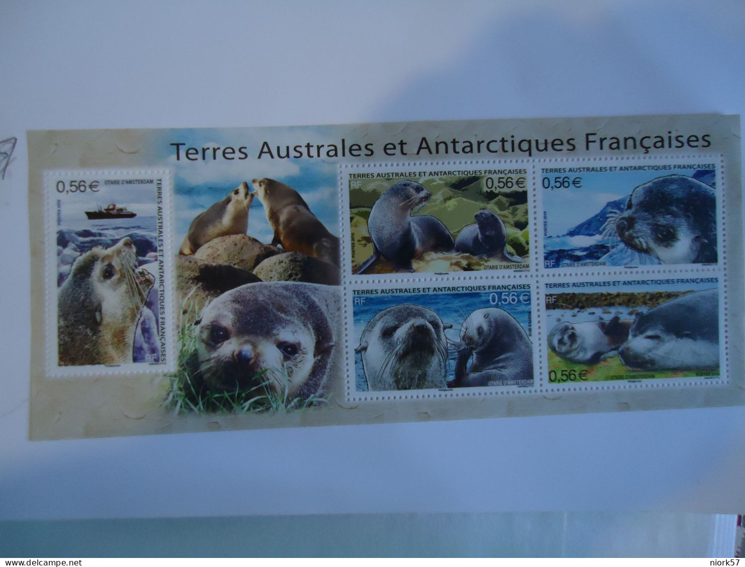 TAAF   MNH   STAMPS ANIMALS   SEAL  2010 - Autres & Non Classés