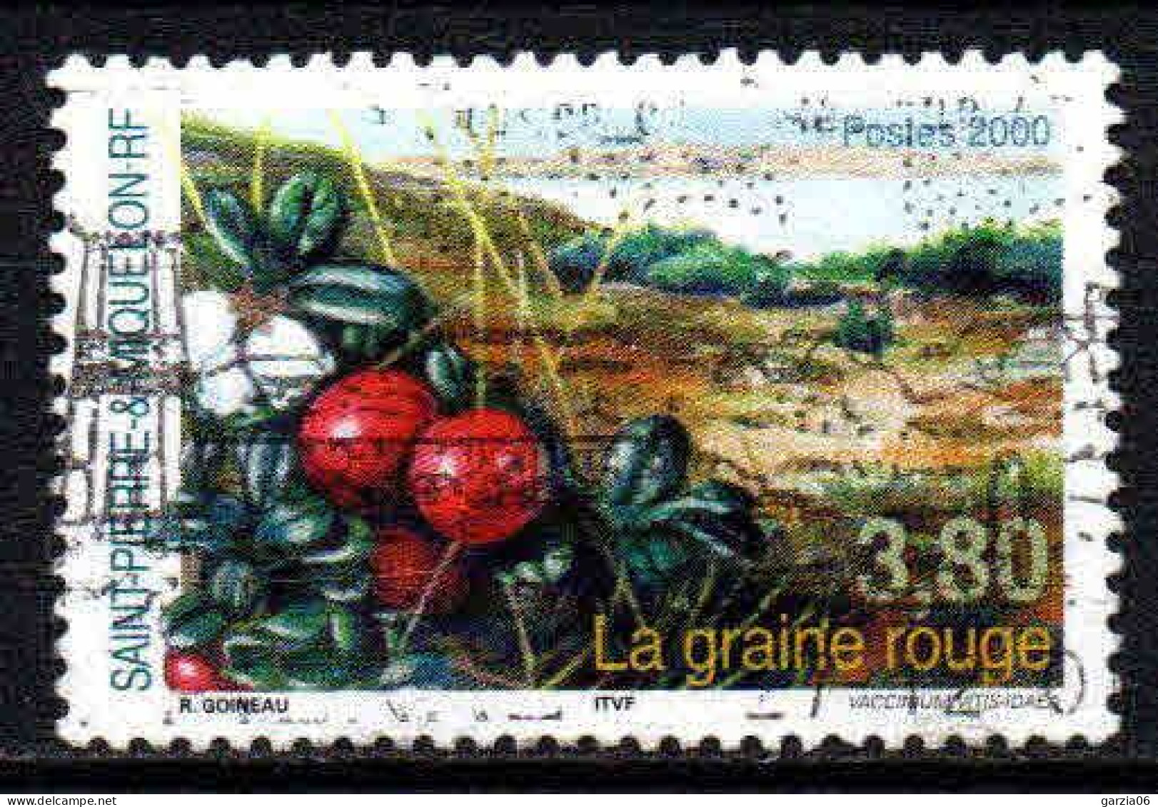 St Pierre Et Miquelon  - 2000  - La Graine Rouge  -  N° 710  -  Oblit - Used - Gebruikt