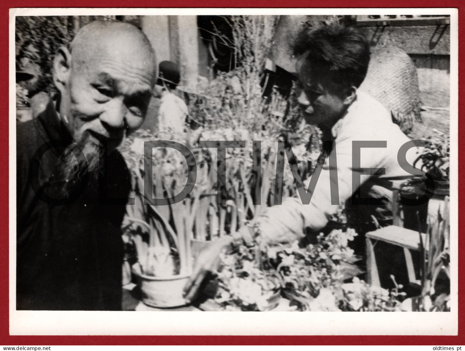 CHINA - MACAU - VENDEDOR AMBULANTE - STREET VENDOR - 50'S REAL PHOTO LARGE SIZE - Orte