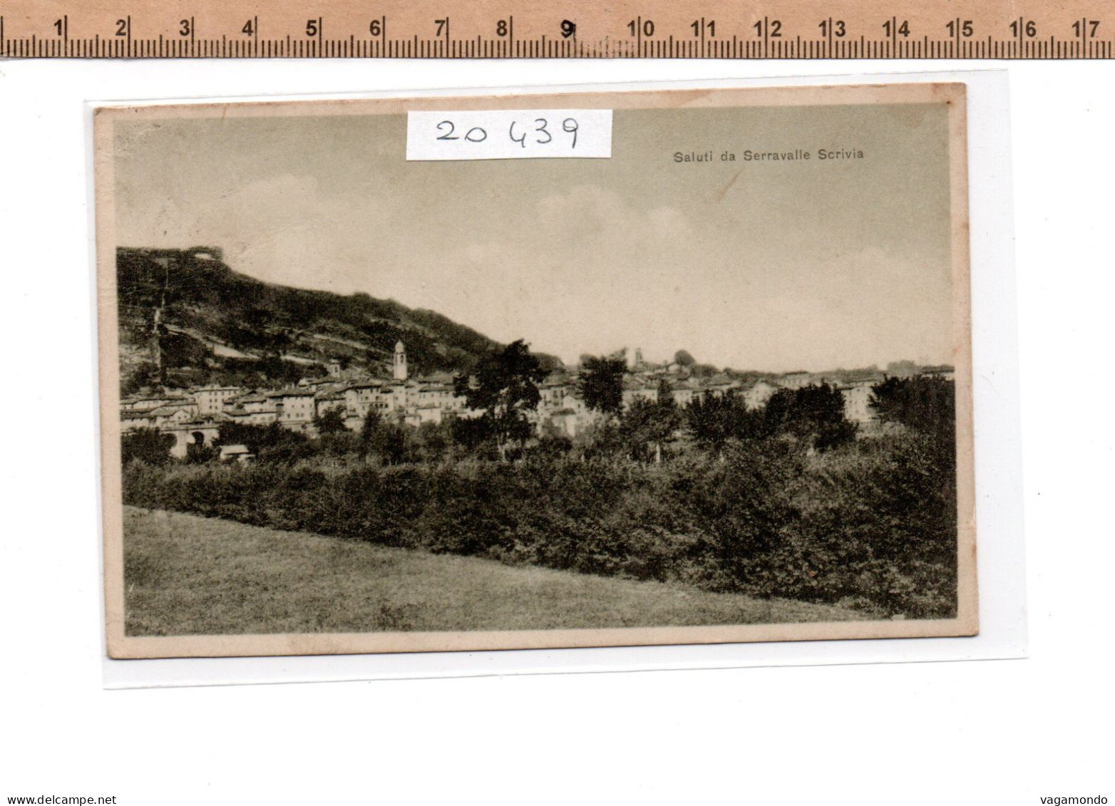 20439  SERRAVALLE SCRIVIA PANORAMA  1919 - Alessandria