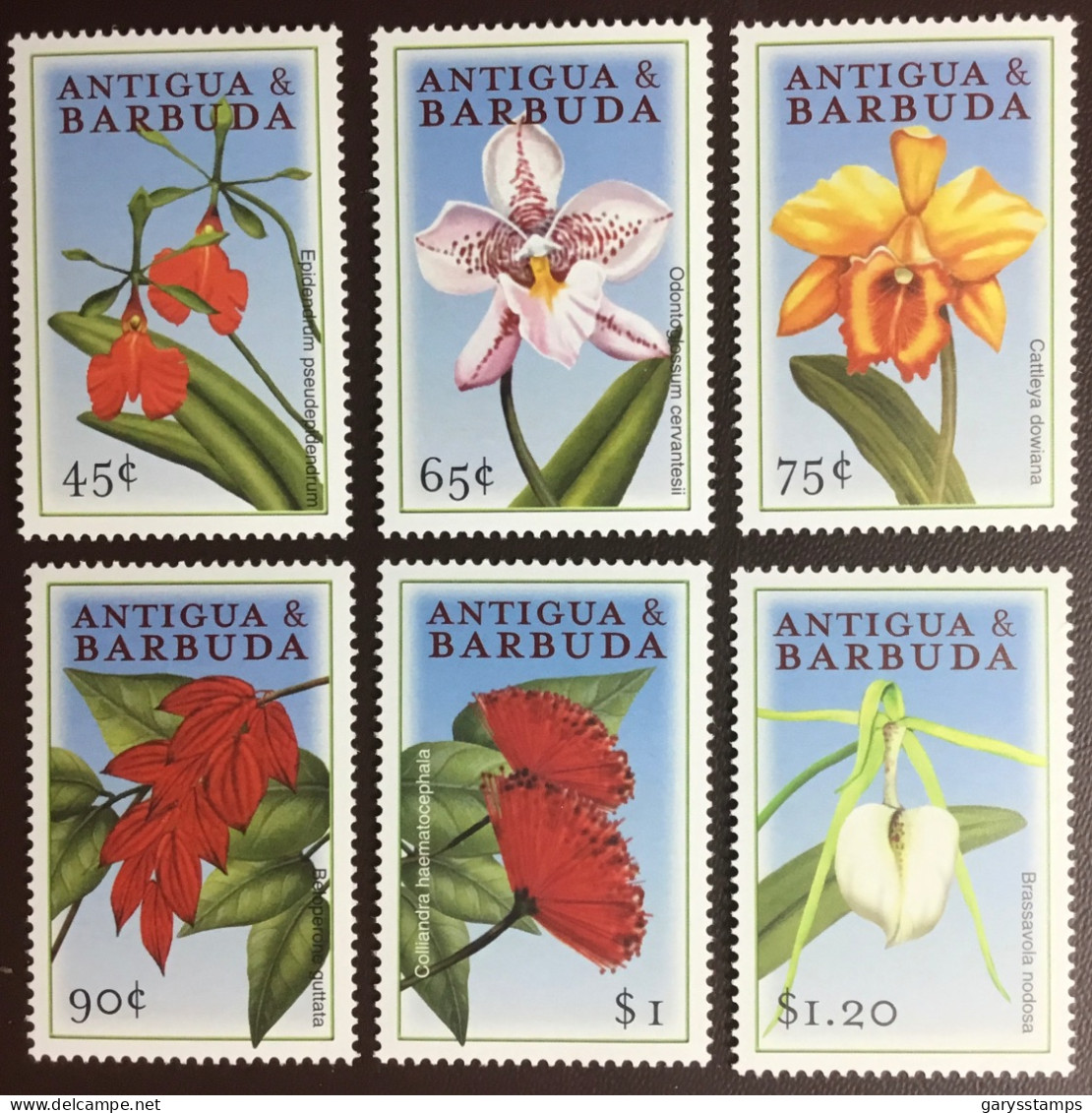 Antigua 2000 Flowers MNH - Other & Unclassified